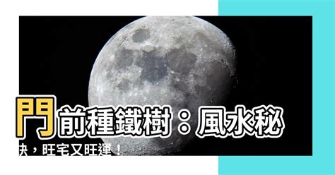 門前 種鐵樹